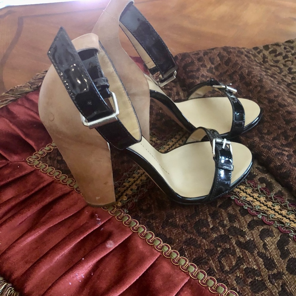 Giuseppe Zanotti